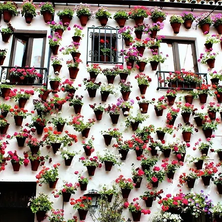 Tendillas * قرطبة